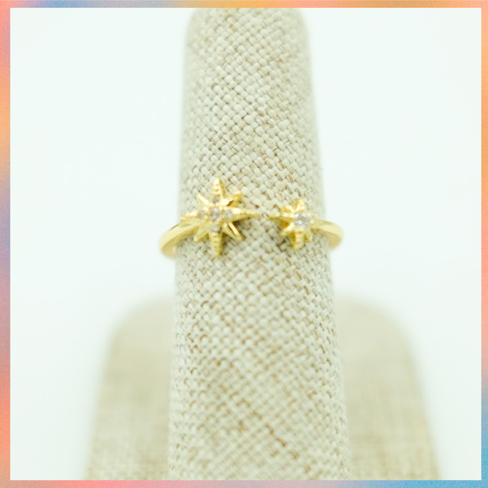 Anillo Shine | Ajustable