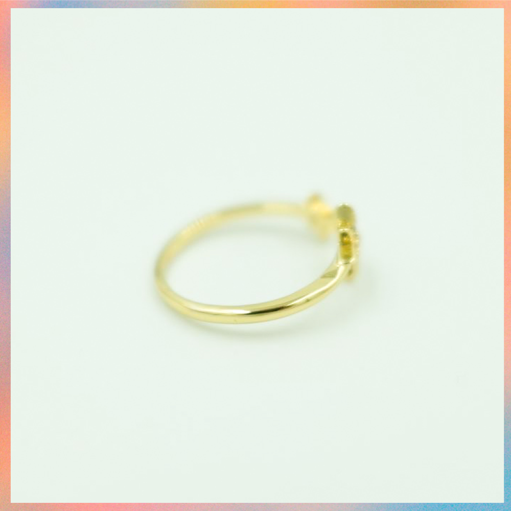 Anillo Shine | Ajustable