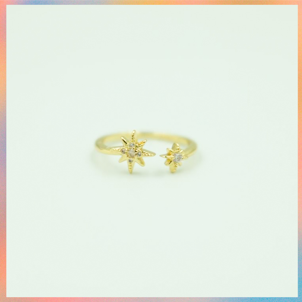 Anillo Shine | Ajustable